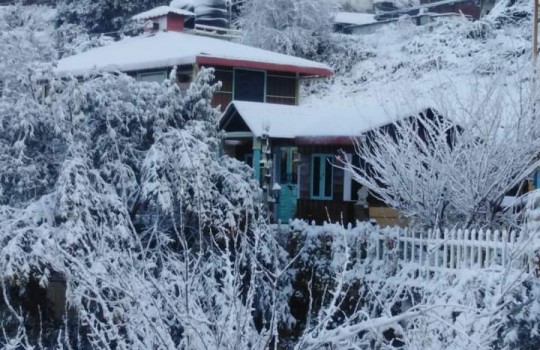 A hamlet that can be mistaken for a movie set: Explore Pangot, Nainital!