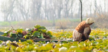 The most Innovative Start up in India