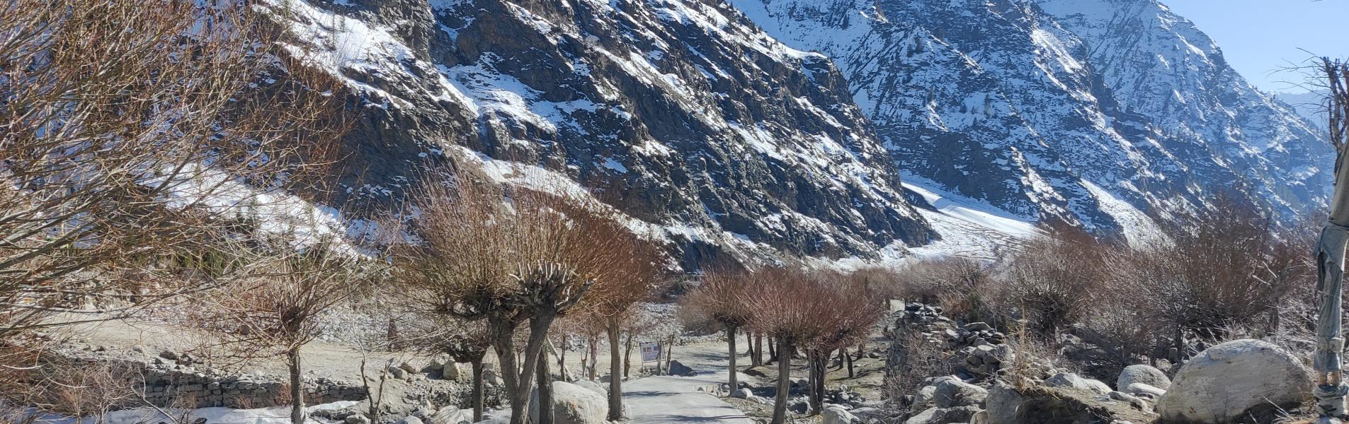 History of Pangi: Stories from the Pangwalis header image