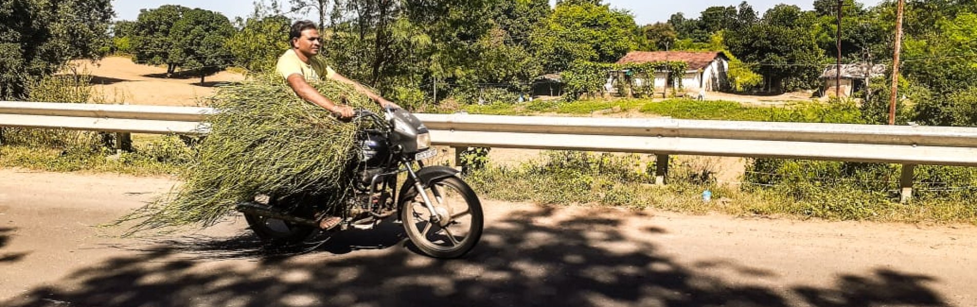 Development, Promotion & Implementation of Rural & Cultural Tourism experiences in remote villages of Madhya Pradesh header image