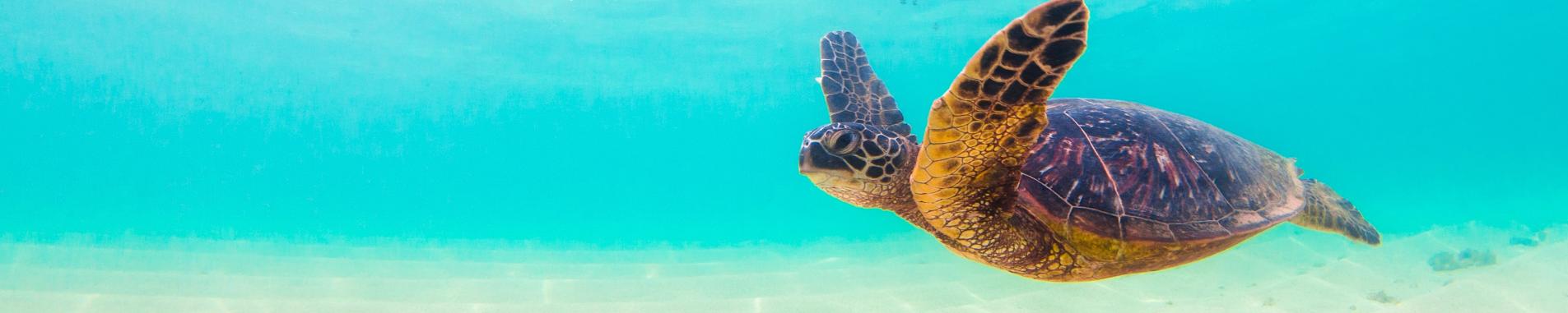 About Us header image