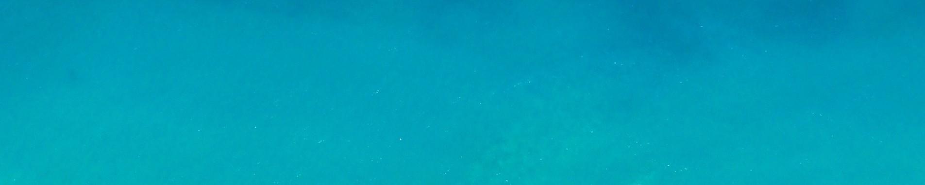 Submit a Review header image