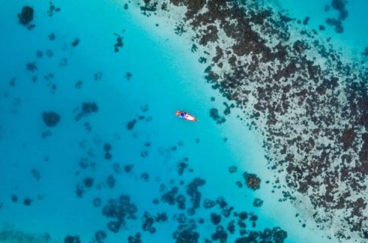 Surfistas y ecologistas