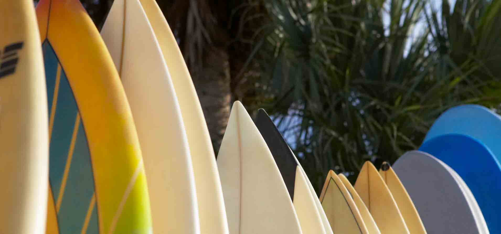 Basic Guide to the Main Types of Surfboards