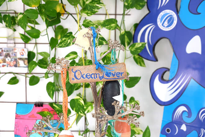 Hub Fuerteventura: Surf y Coworking en el Paraíso