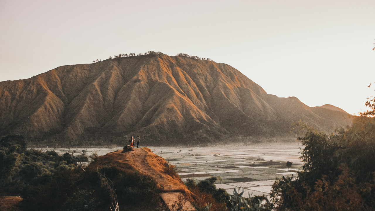 Reconnect with nature