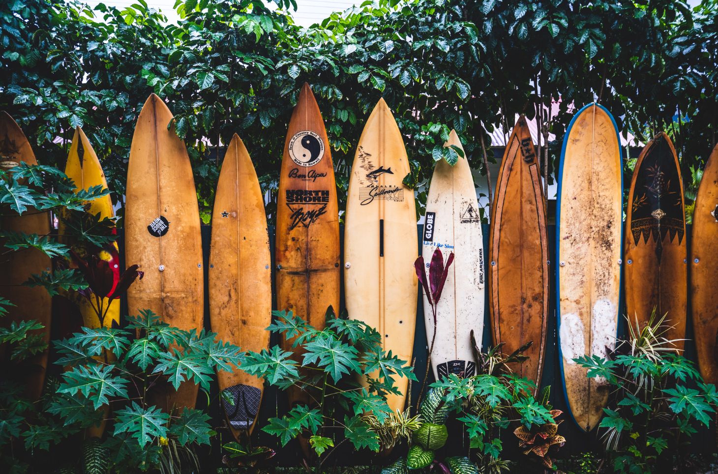 Choosing Your Perfect Surfboard: A Comprehensive Guide