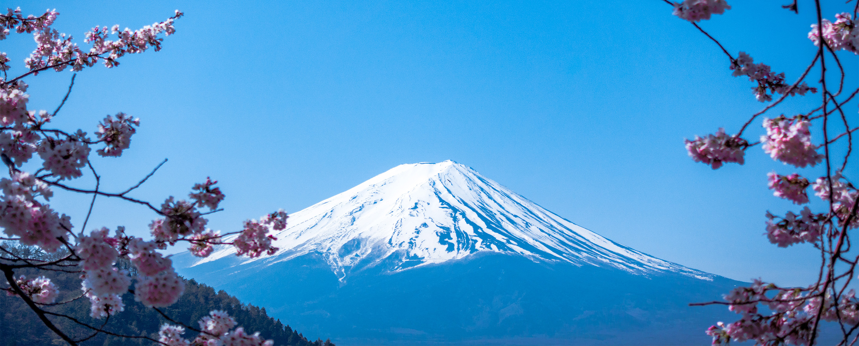 Discover Japan: Timeless Traditions, Modern Marvels & Serene Natural Beauty