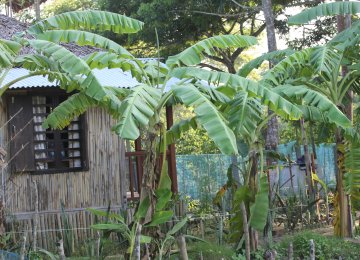 Mangrove EcoCottages property