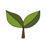 Why Visit the Sundarbans