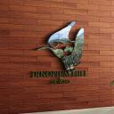 Dinopium Hills Campsite