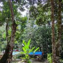 Rumpun Bamboo Campsite