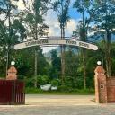 Woodstock Camp