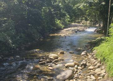 Campsite Overview