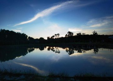 Property Surrounding