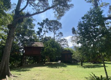 Surrounding of Jungle Zen Campsite, Janda Baik