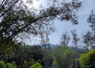 Surrounding of Ayabonda Campsite - Pinch to Zoom in & Change Video Quality for better experience