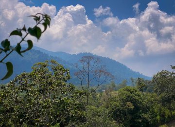 Surrounding Cherengin Hill Skycamp