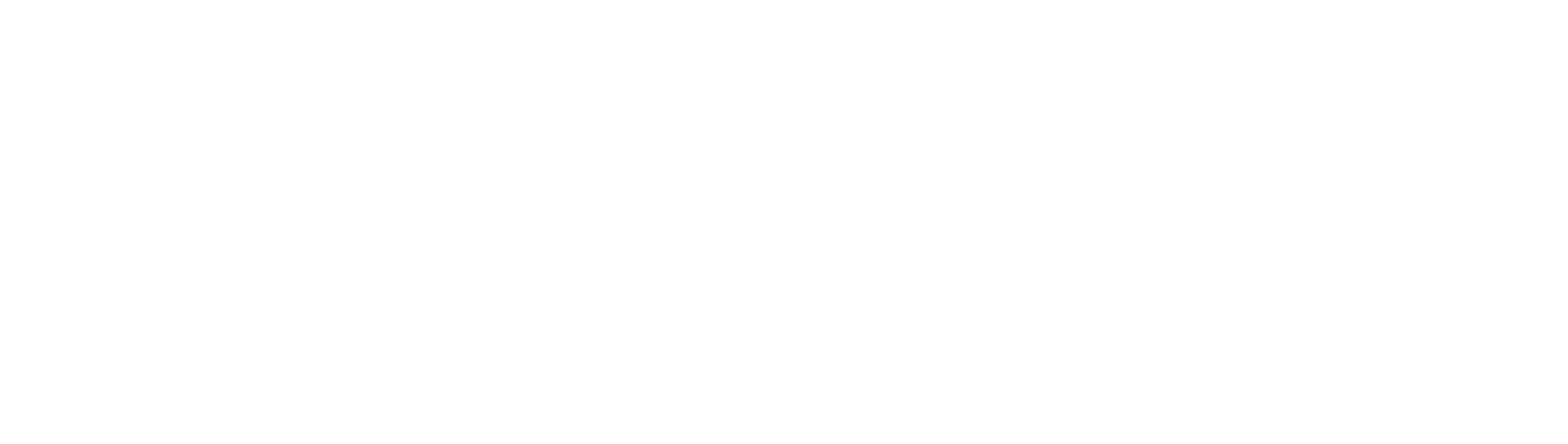 JapaVerse logo