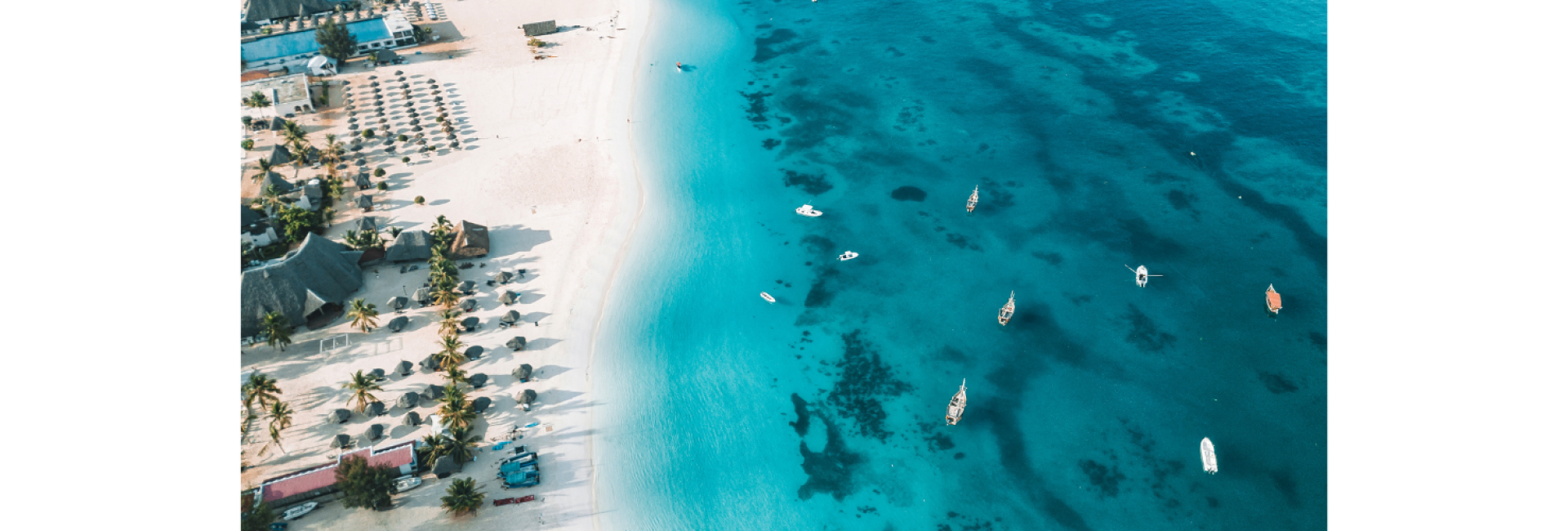 FAQs header image