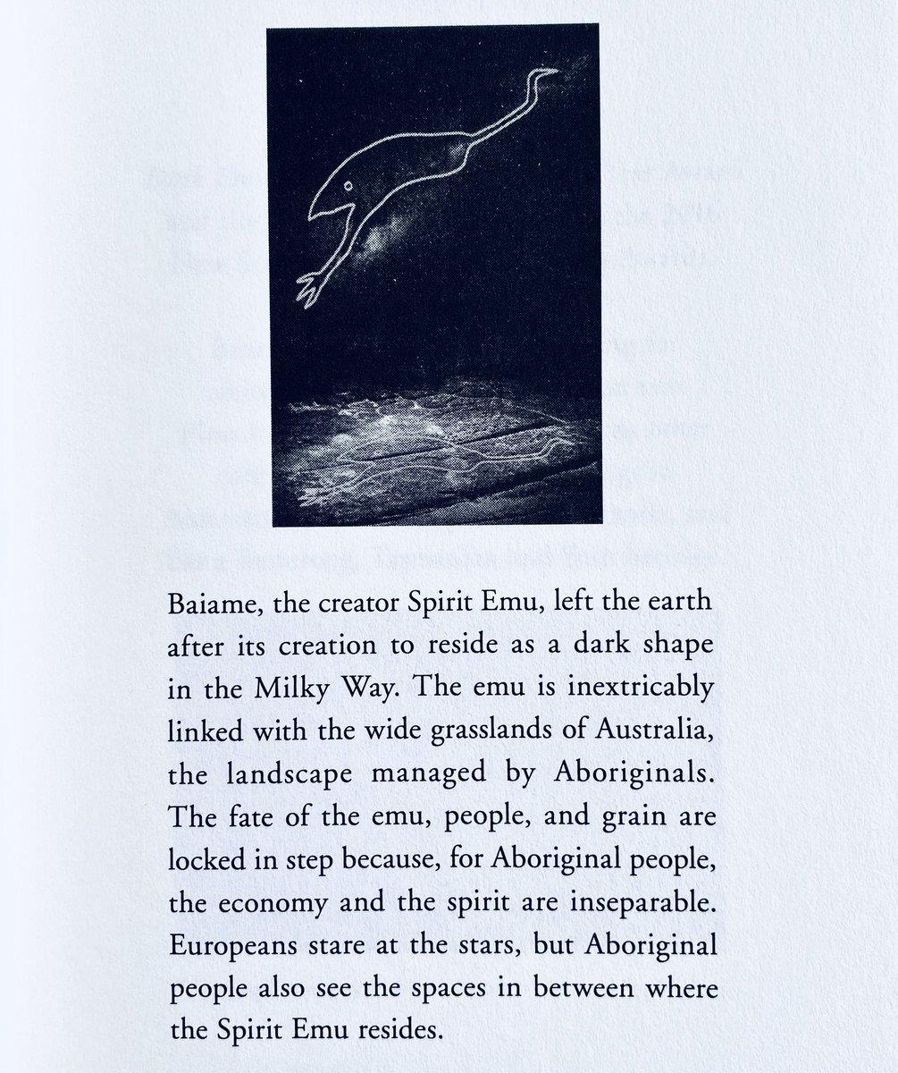 page6image1855900080