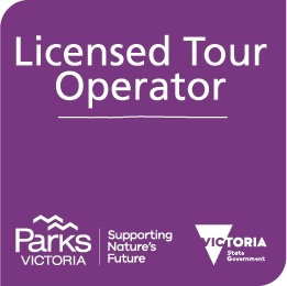Licensed Tour Operator