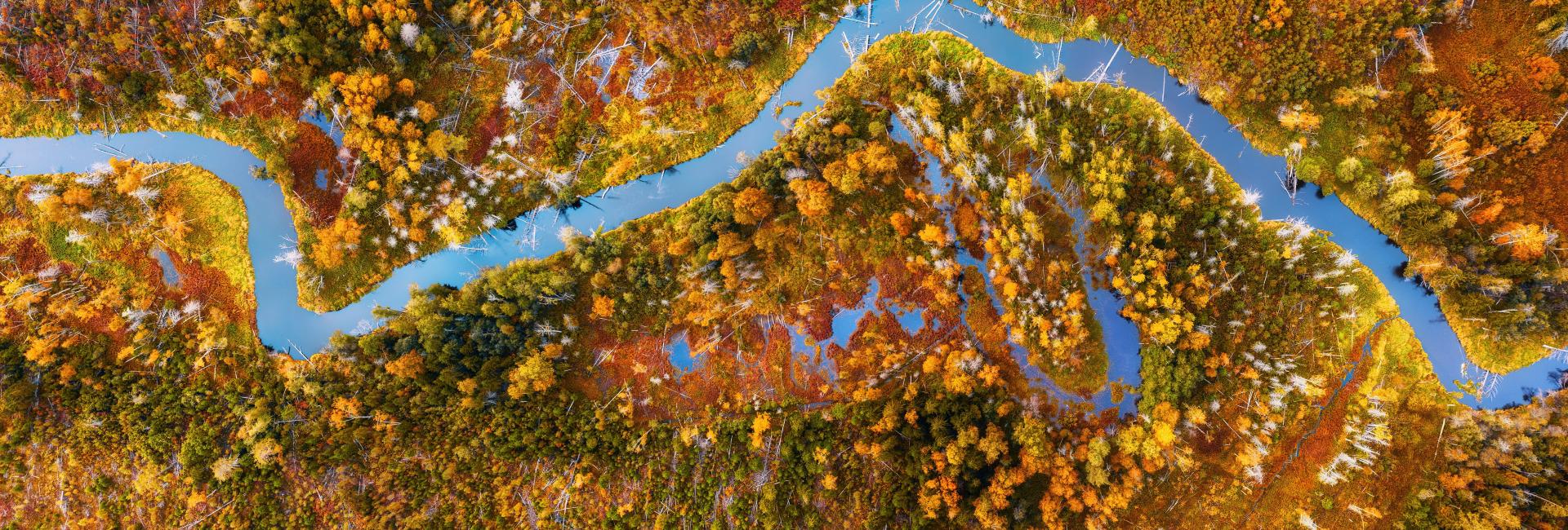 FAQs header image