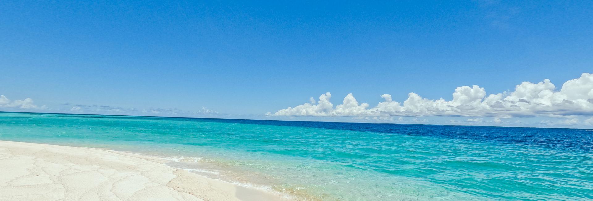 FAQs header image