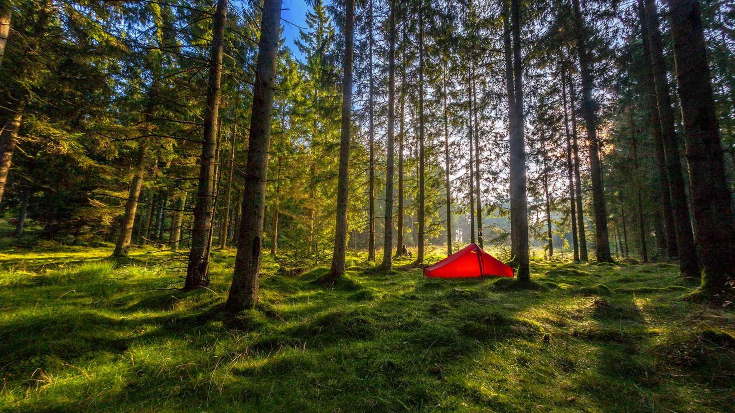  Image credit: Nordisk 