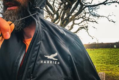 Harrier Exmoor